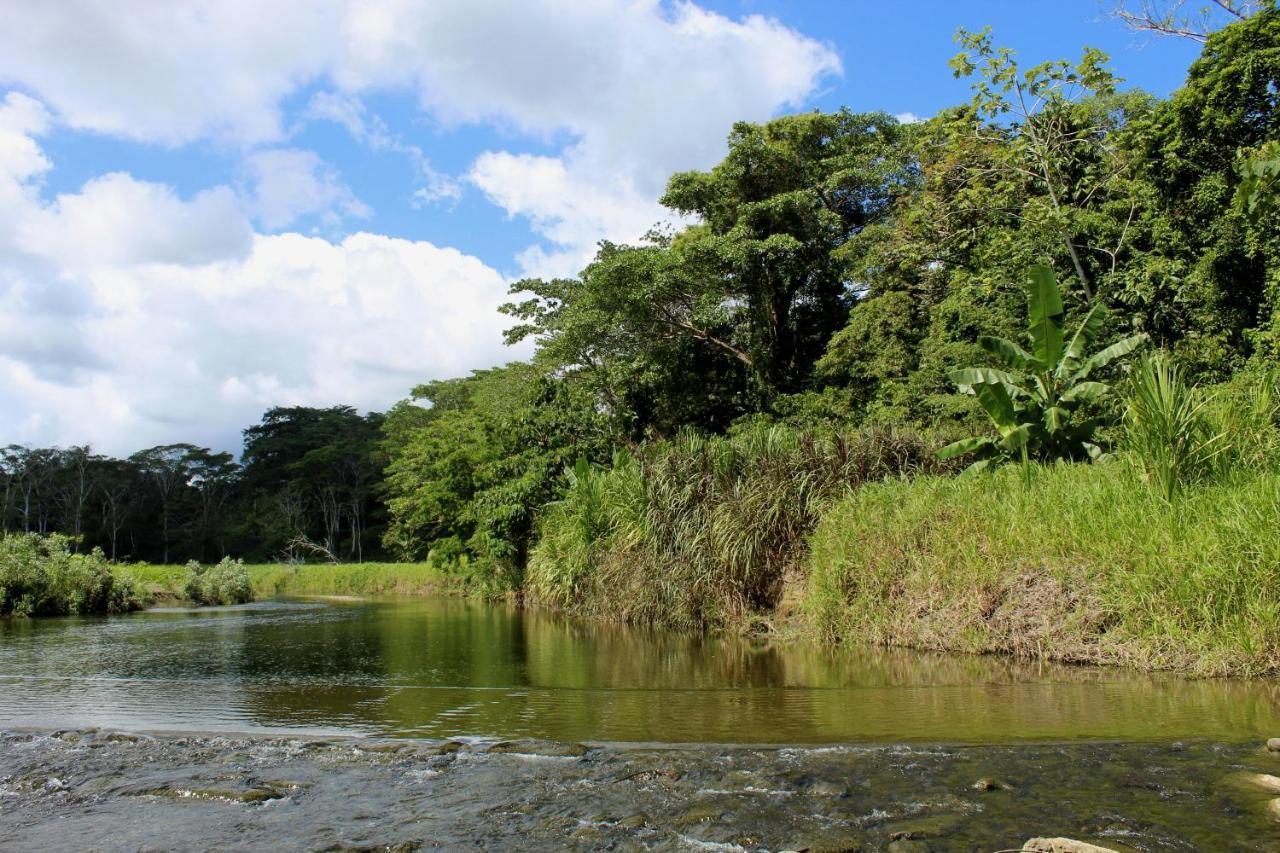 Puerto Jiménez Miah Houseヴィラ エクステリア 写真